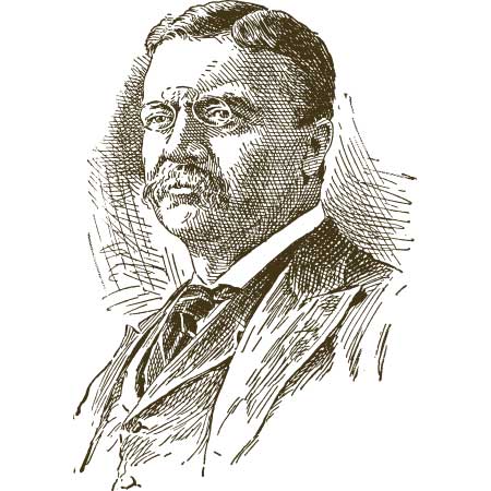 illustration of Theodore Roosevelt